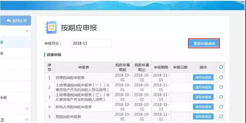 一般纳税人 小规模,你们要的网上申报辅导在这儿